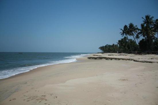 Fool'S Paradise Homestay Alappuzha Exterior foto
